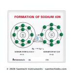 Formation of Sodium Ion Model